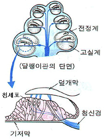 내부이미지