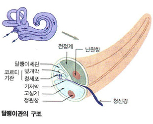 내부이미지